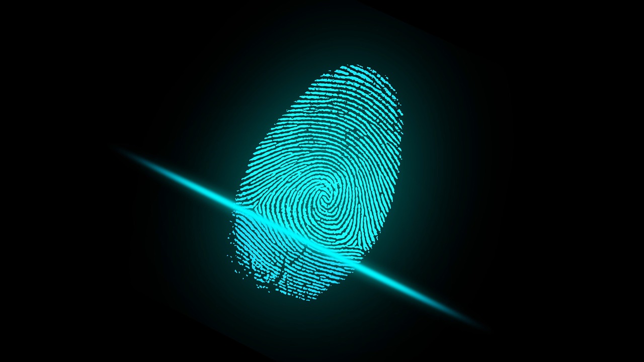 Biometric Authentication - The future of security or not?